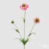Scabiosa artificiale rosa EDG: petali realistici, stelo modellabile e colore delicato. Perfetta per composizioni primaverili e decorazioni eleganti.