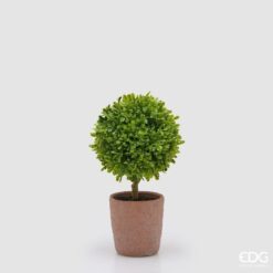 Pianta artificiale bosso EDG 31 cm con vaso in terracotta. Realistica, elegante e perfetta per ogni ambiente.