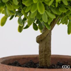 Alternative view of Pianta Artificiale Bosso con Vaso 31cm EDG