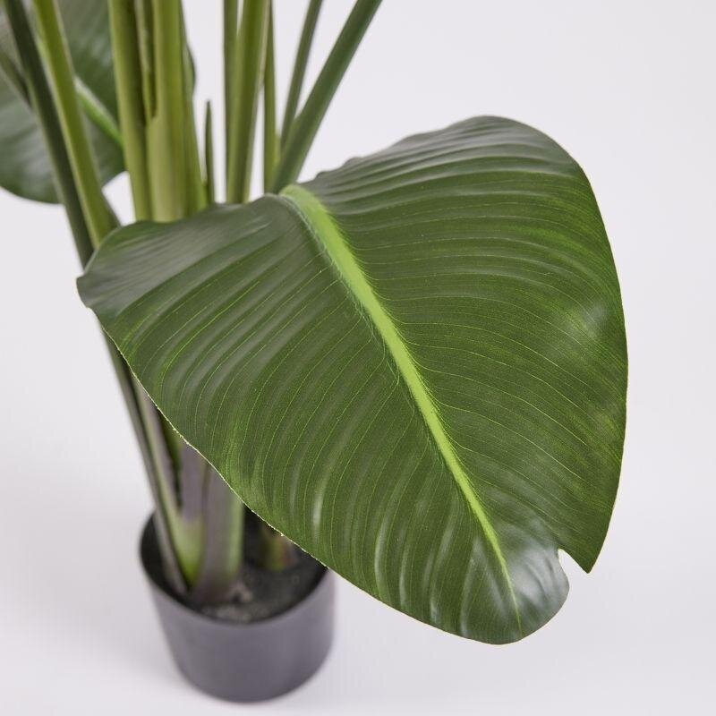 Alternative view of Pianta Artificiale Strelitzia con Vaso 185cm EDG