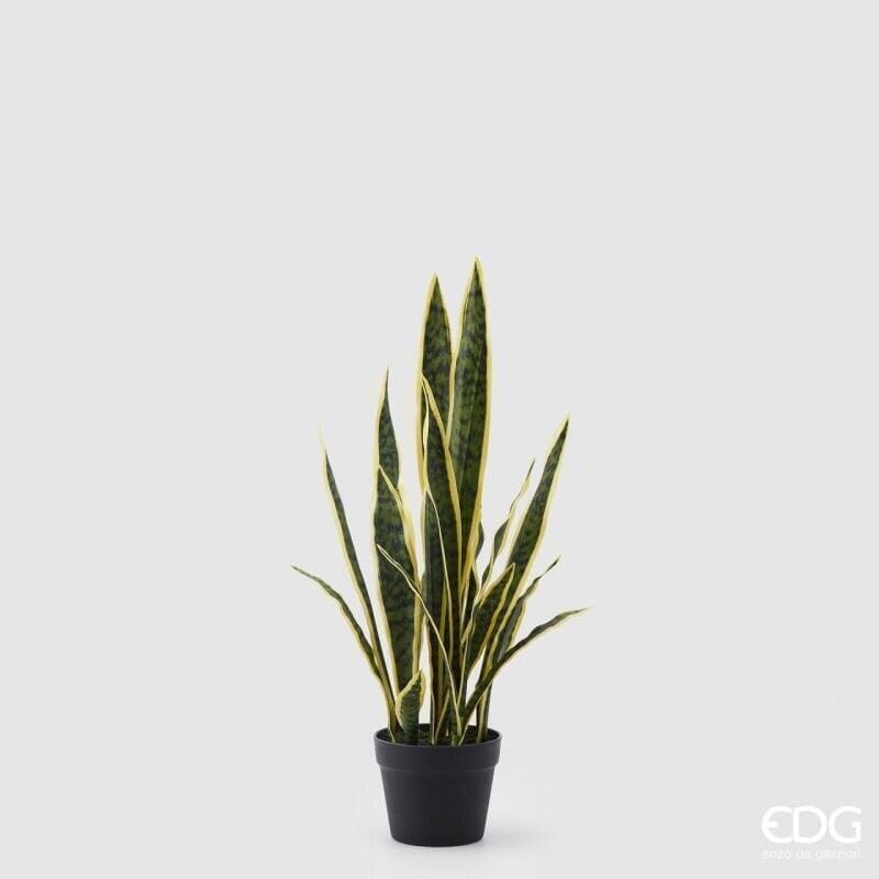 Pianta Sansevieria artificiale EDG 70 cm in vaso nero. Foglie lanceolate verosimili con bordi gialli. Acquista su Savino Arte e Design!