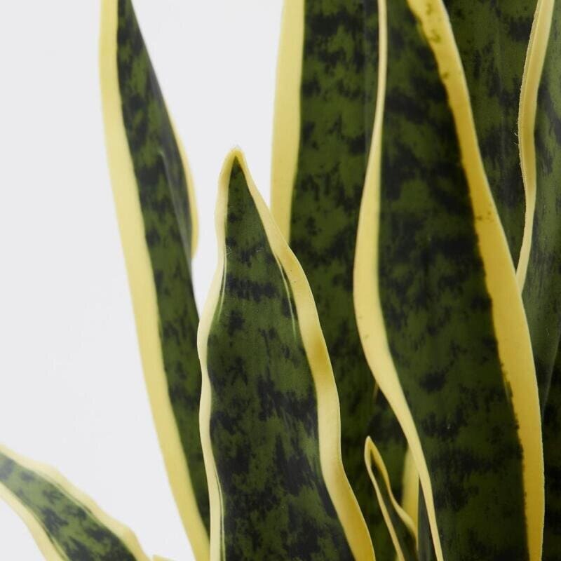 Alternative view of EDG Pianta Sanseveria Artificiale 70 cm